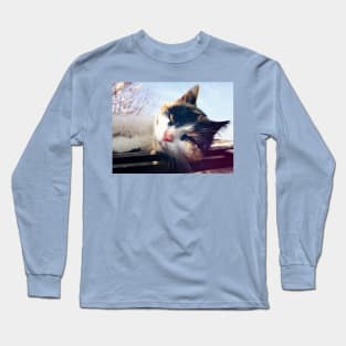 spotted kitten Long Sleeve T-Shirt